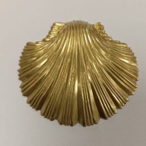 CONCHIGLIA OTTONE GRANDE 65X65MM