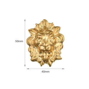 TESTA DI LEONE OTTONE MM.50