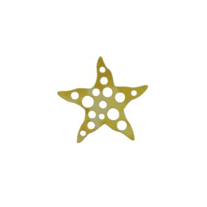 SOGGETTO STELLA C/FORI OTTONE